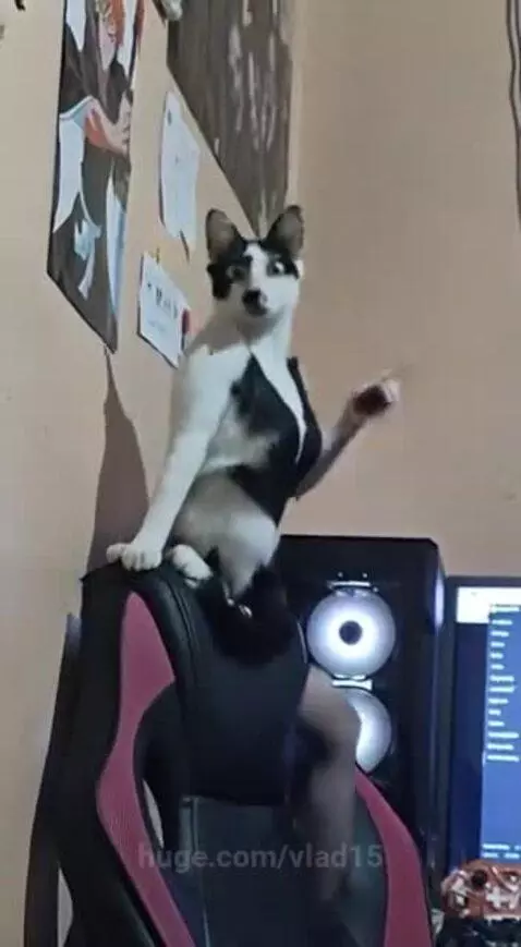 Well, what a beauty! by vlad15