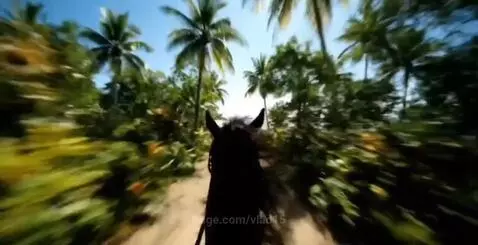 You'd love to ride like that, wouldn't you? by vlad15