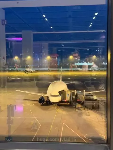 I don't want to fly, we'll swim today. by vlad15