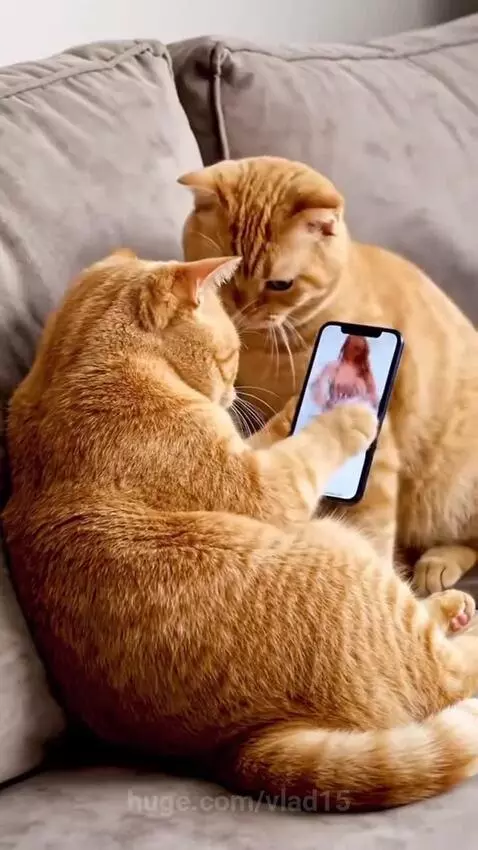 When you burned out due to trifles))) by vlad15