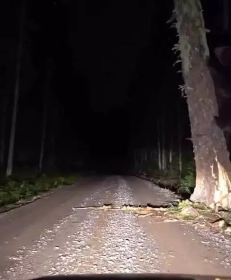 Black boomer by vlad15