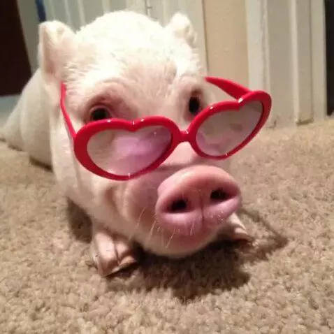 What a beauty by vlad15