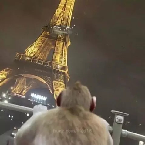 King Kong as a child by vlad15