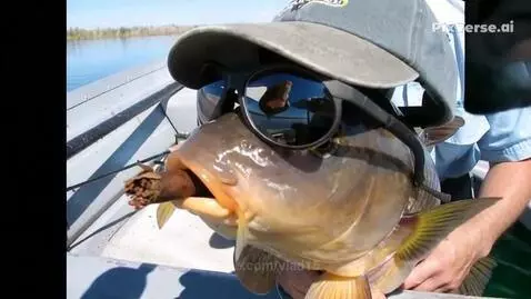 Take that cigar away from him))) by vlad15