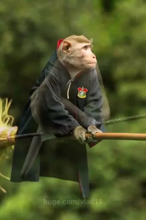 Harry, is that you? by vlad15