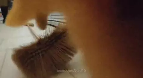 thief cat 2 by vlad15