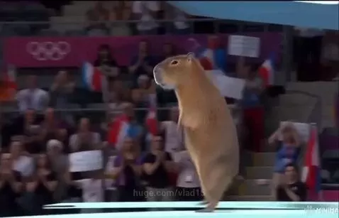 perfect jump by vlad15