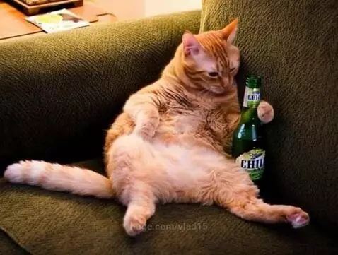 on Friday evening by vlad15