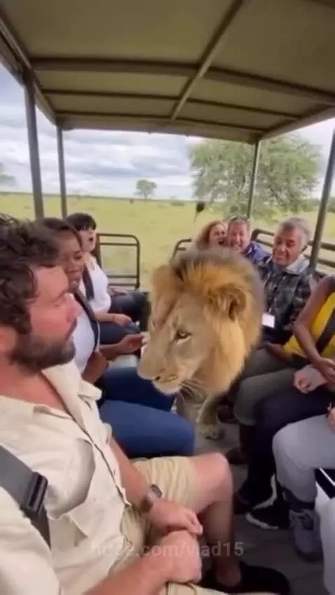 who is he really by vlad15