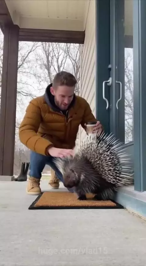 What an ungrateful creature! by vlad15