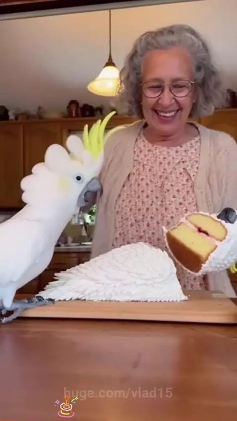 what are you doing!!! by vlad15