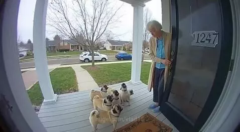 a real choir by vlad15