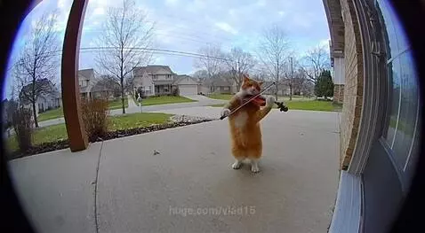 street musician by vlad15