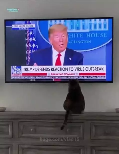 another assassination attempt?))) by vlad15