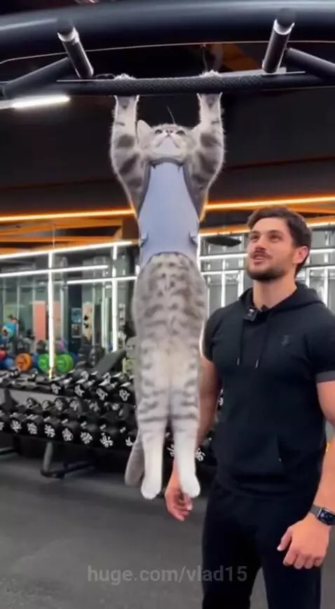 How many times can you do this?) by vlad15