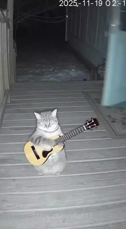 should I play for you? by vlad15