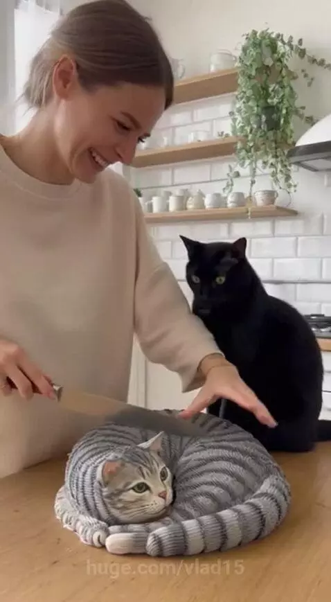 prank for a cat by vlad15