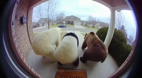 animal-style twerk by vlad15