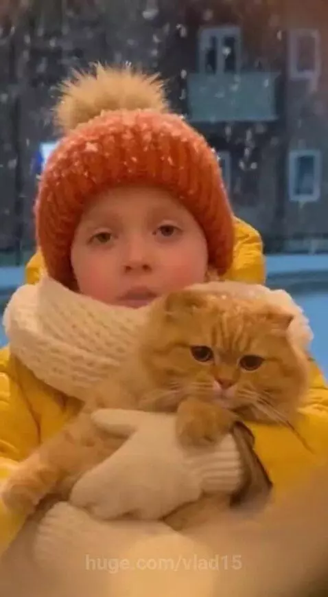 Barsik is not used to such walks. by vlad15