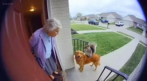 hairy robbers by vlad15