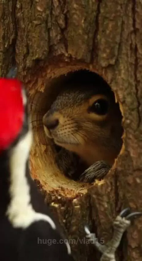 do not disturb! by vlad15