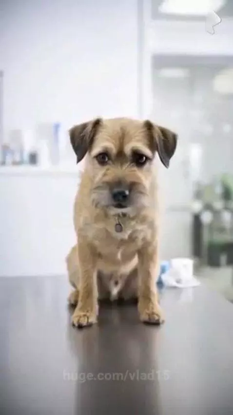 what deep experiences by vlad15