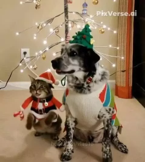 Are you waiting for this too? by vlad15