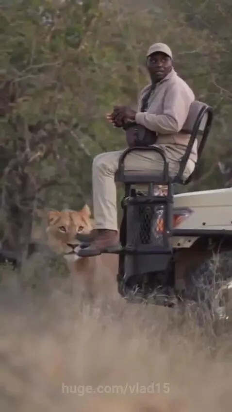 unexpected meeting)) by vlad15