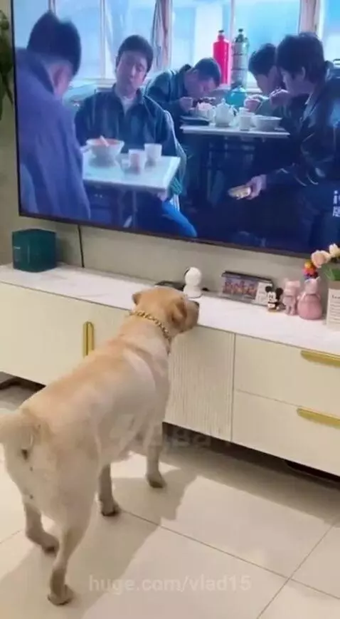 deception all around) by vlad15