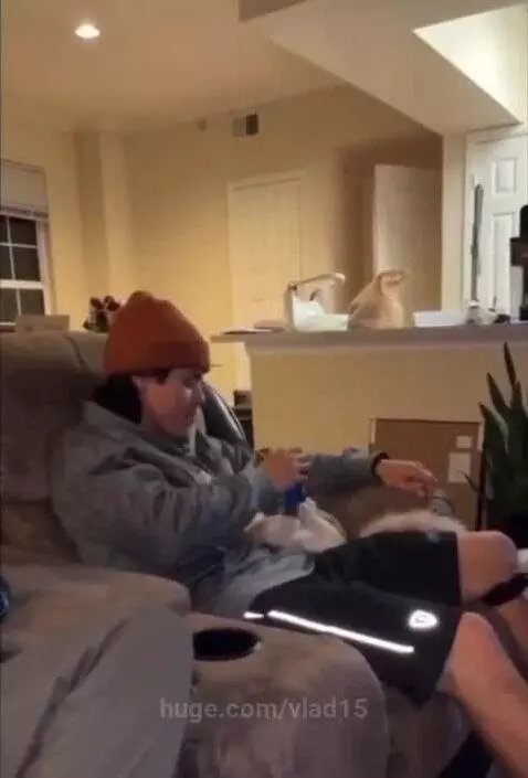 best can holder) by vlad15