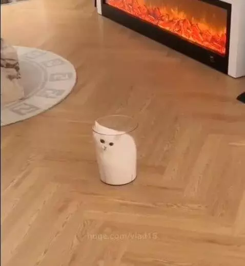 Is this really milk? by vlad15