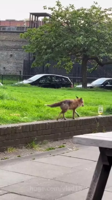 left a dislike)))) by vlad15