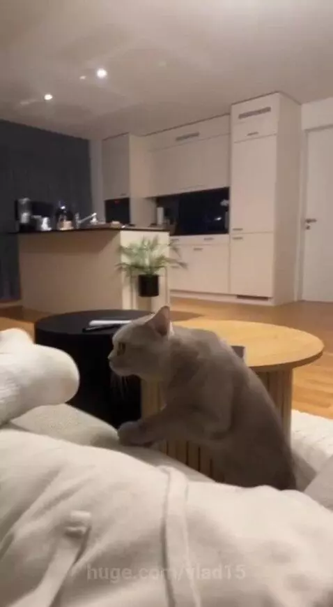 extreme smells by vlad15