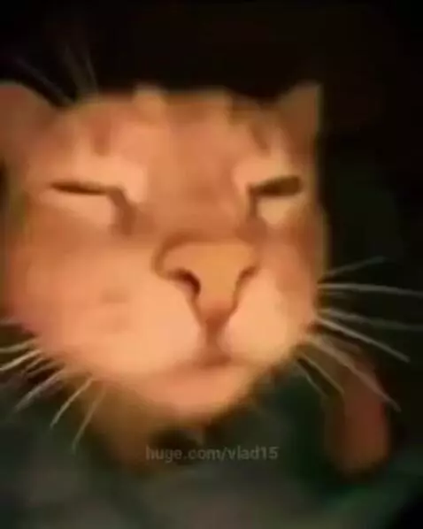 when the right music started playing by vlad15