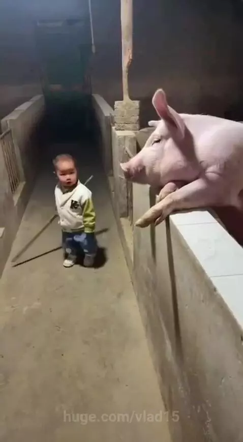 Don't stick your nose where it doesn't belong by vlad15