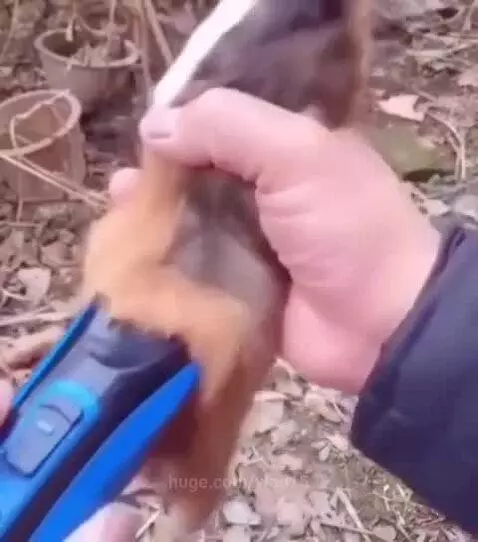 This is you when you play at an online casino. by vlad15