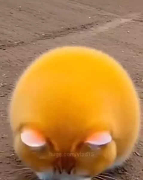 what a sweet little sun by vlad15