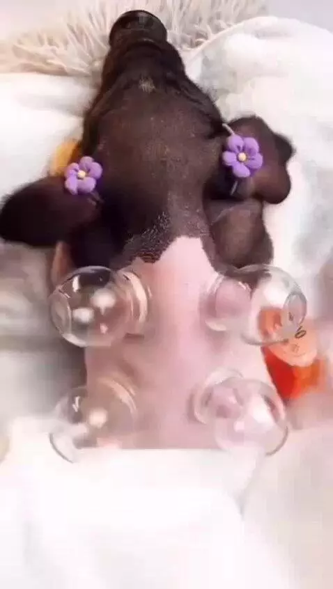 when payment for services failed by vlad15