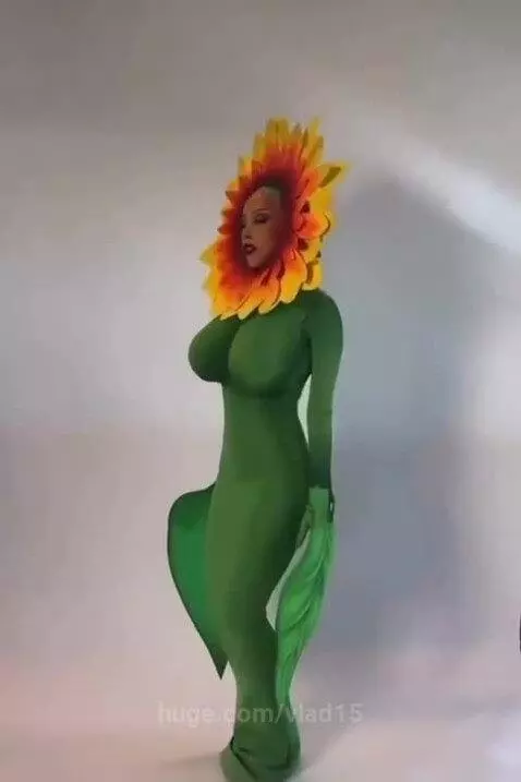 the sunflower is already ripe by vlad15