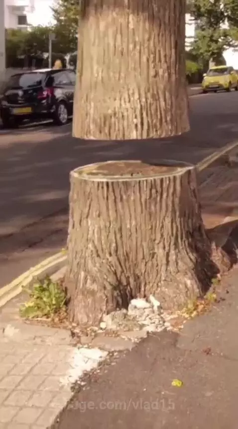 Don't stick your fingers everywhere by vlad15