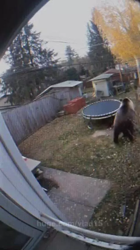 so that's who did it by vlad15