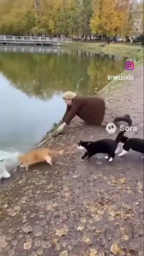 when they saw the treat )) by vlad15