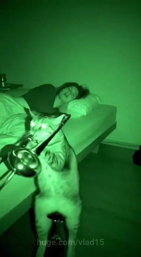 Don't rush to blame your neighbor when you hear noise)) by vlad15