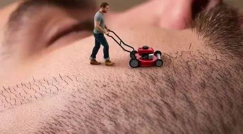 How do you like this mowing? by vlad15