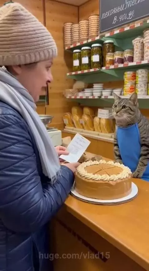 the customer is dissatisfied with the prepared cake by vlad15