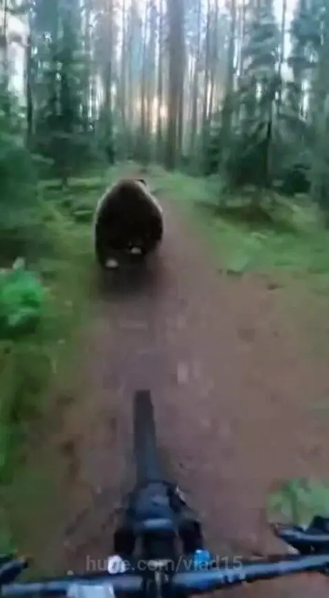 He got off easy by vlad15