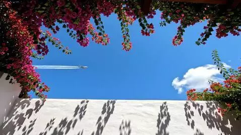 It flies beautifully by vlad15