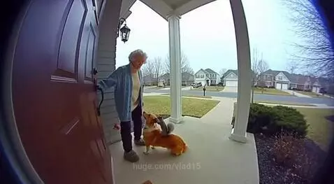 the squirrel turned out to be quicker by vlad15