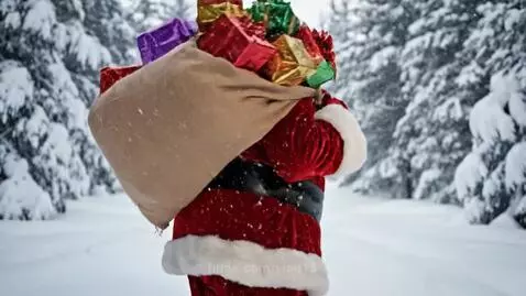 Are you waiting for gifts under the tree? by vlad15