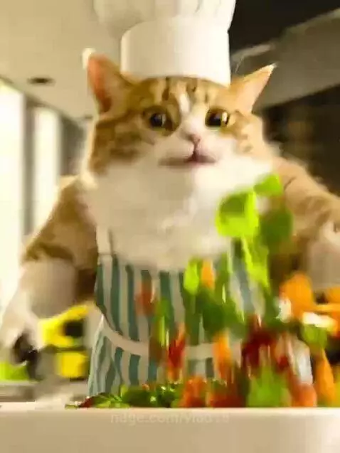 it's time to prepare salads by vlad15